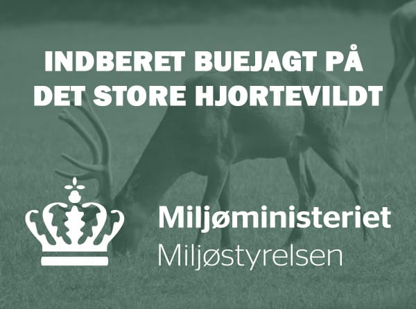 Indberet buejagt på det store hjortevildt